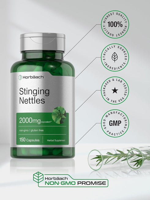 Horbaach Stinging Nettle Capsules, 2000mg, 150 Count, Herbal Leaf Extract Supplement, Non-GMO, Gluten Free
