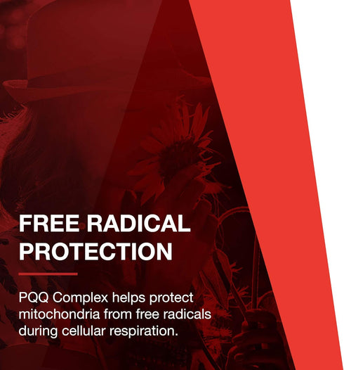 Protocol PQQ Complex - Mitochondrial Health with CoQ10 & L Carnitine - Energy Supplements - 30 Veg Caps