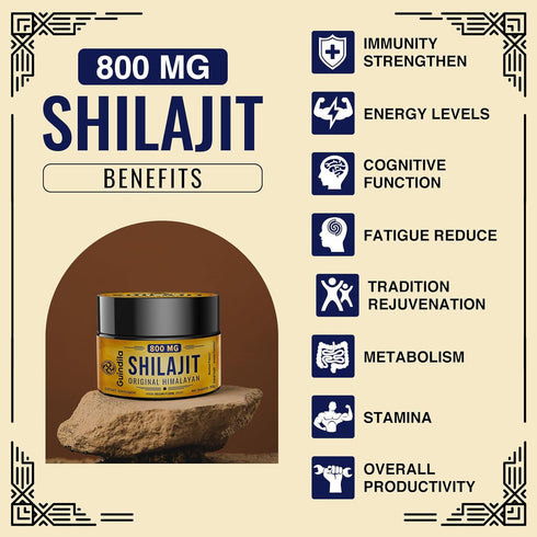 800mg Shilajit Supplement - Pure Himalayan Organic Shilajit Resin with 85+ Trace Minerals & Fulvic Acid, 2 Packs