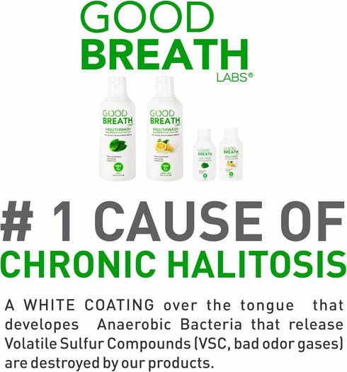 Goodbreath Mouthwash - Mint Rinse for Chronic Halitosis - Ozone Technology Oral Rinse - Alcohol-free, 6 Pack, 2 Oz