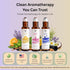 Yuganify Set (3 Pack) Essential Oil Roll On Sleep, Stress Relief & Revive Aromatherapy Rollers Pre-Diluted Travel Size