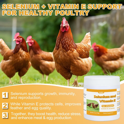 Ourea Immune Selenium and Vitamin E Powder for Chickens, Selenium for Chickens, System, Muscle Support & Prevents