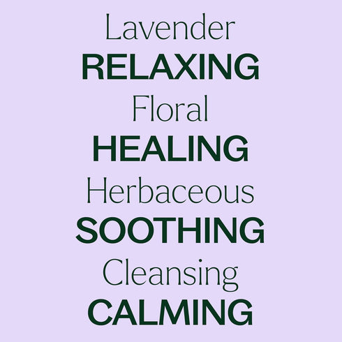 Plant Therapy Organic Lavender Essential Oil 100% Pure, 10 mL, USDA Certified Organic