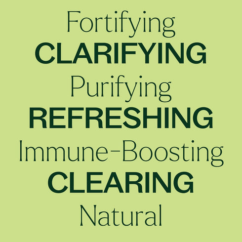 Plant Therapy Wellness Sampler Essential Oil Set, 100% Pure Oils: Germ Fighter, Immune Aid & Respir Aid