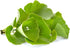 Pure Original Ingredients Ginkgo Biloba Powder, 8 oz, Always Pure, No Fillers or Additives