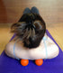 Kieba Massage Lacrosse Balls for Myofascial Release, Trigger Point Therapy, Set of 2 Firm Balls (2 Orange)