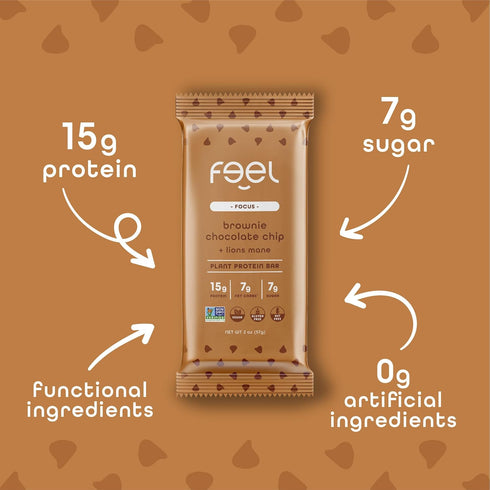 Feel Vegan Protein Bars, Brownie Chocolate Chip, Keto, Gluten Free, 15g Plant Protein, 10 Pack