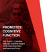 Protocol Acetyl-L-Carnitine 500mg - Brain Pills for Energy, Brain & Mitochondrial Health* - Non-GMO, Vegan, 100 Veg Caps