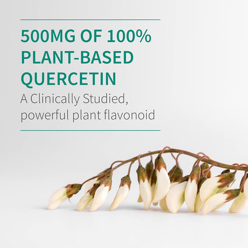 Garden of Life Quercetin Once Daily - 30 Tablets, Immune System Support with Vitamin C, D & Probiotics