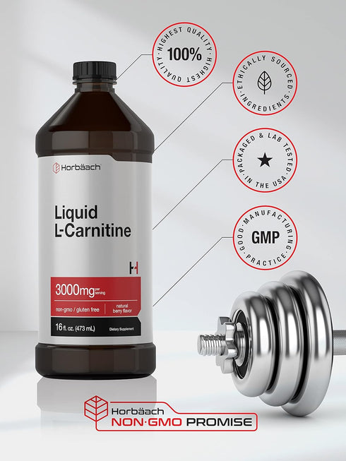 Horbaach L-Carnitine Liquid 3000mg | 16 fl oz | Berry Flavor | Vegetarian Non-GMO Gluten Free Supplement
