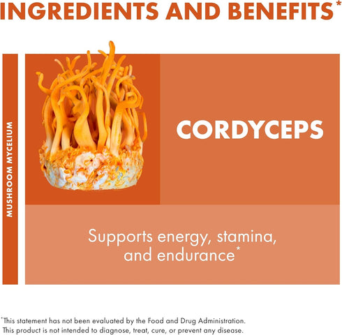 Immune 3.5 oz (66 Host Defense Cordyceps Powder - & Energy Support Supplement - Kidney Health Supplement with Cordyceps
