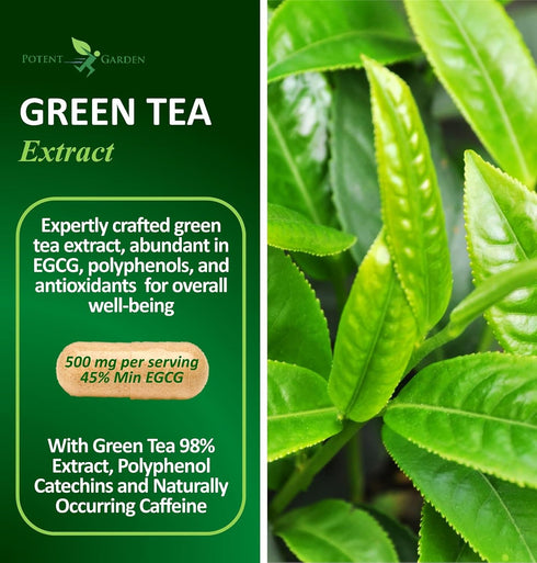 Green Tea Extract with EGCG Natural Energy, Mental Focus, Immune Support, Antioxidant and Healthy Heart Formula, Non-GMO 120 Green Tea Extract Capsules