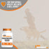 Phosphatidylserine Capsules by BulkSupplements.com - 60mg per Capsule, Gluten Free - 120 Capsules (1 Pack)