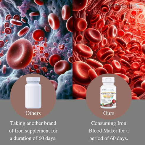 Kappa Nutrition 9 in 1 Advanced Complex - 90 Capsules with Iron, Vitamin C, Folate, B12, and More