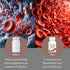 Kappa Nutrition 9 in 1 Advanced Complex - 90 Capsules with Iron, Vitamin C, Folate, B12, and More