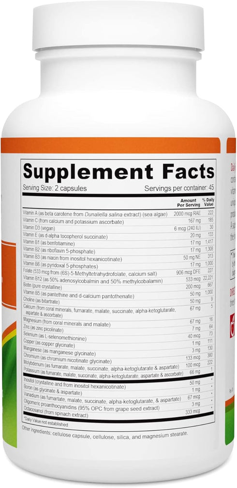 Wellness Resources Daily Energy Multiple Vitamin, 100% Coenzyme B Vitamins, 90 Capsules