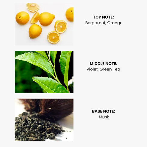 Set 100ml Green Tea Essential Oil for Diffusers - Premium Aromatherapy Oils for Home and Hotel, Scented Oil Diffuser