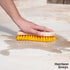 Scrub Brush - Stiff Bristle Brush for Deep Cleaning, Nylon Brush with Hard Bristle, Utility Hand Brush for Indoor and