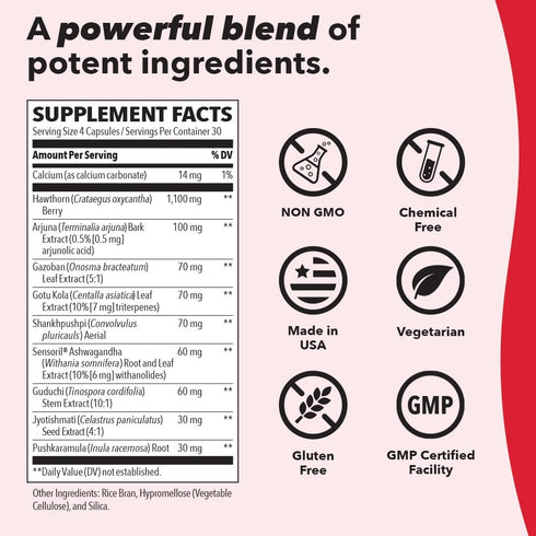 LifeSeasons B/P Stabili-T Blood Pressure Support Vitamin Supplement for Healthy Heart, 120 Capsules