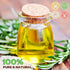 Pure Rosemary Essential Oil 2.02 Fl Oz - Undiluted for Hair Growth, Skin Care & Aromatherapy