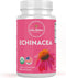 Echinacea Supplement - Natural & Organic - 60 Capsules
