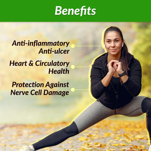 AFC Japan Brazilian Green Propolis Extract, Highest Artepilin C & Flavonoids, Premium Quality Immune Booster