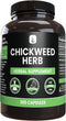 PURE ORIGINAL INGREDIENTS Chickweed Herb, 365 Capsules, No Fillers, Always Pure, Lab Verified