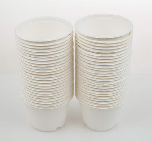 Golden Apple 4oz-50ct Portion Cups, Compostable Sugarcane/Bagasse, Biodegradable Sample Food Cups