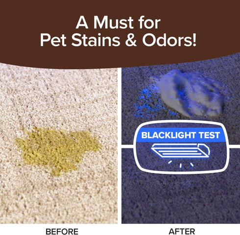 Horsepower Bull Shot Carpet Spot & Stain Remover, AS SEEN ON TV, Made In USA, Just Point & Spray, Stain-Lifting