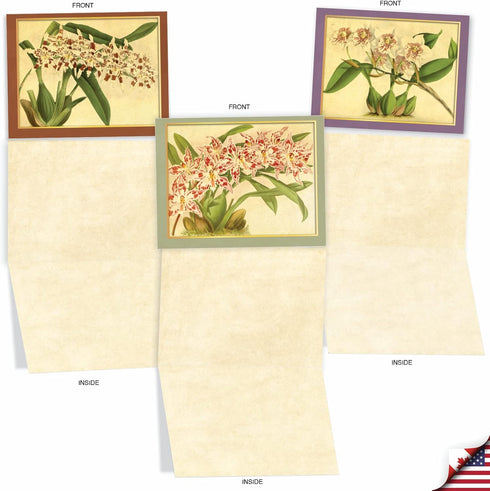 The Best Card Company - 10 Boxed Note Cards with Flowers, Blank Assorted Floral Notecards Bulk, Tiger Orchids M10037BK