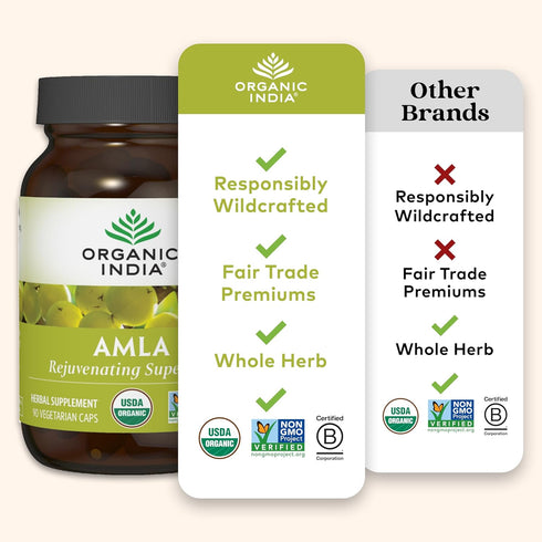 Immune 90 ORGANIC INDIA Amalaki Herbal Vitamin Supplement - Support, Vitamin C, Vegan, Gluten-Free, Kosher, Ayurvedic