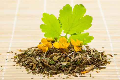 Health Embassy Greater Celandine Herb | Chelidonium Majus L | Herbal Tea (100g)