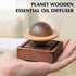 Planet Wooden Essential Oil Diffuser - Walnut Aroma Therapy for Home, Office, Car, Yoga Hall and SPA - Passive Diffuser