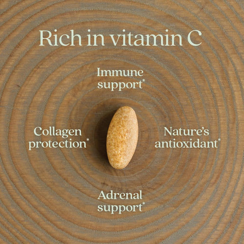 Immune 60 Count New Chapter Fermented Vitamin C + Elderberry, ONE Daily for Support & Collagen Protection, Made