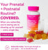 Gummy 60 Gummies Pink Stork Fertility + Prenatal + Postnatal Vitamins Full Motherhood Journey Support Multivitamin
