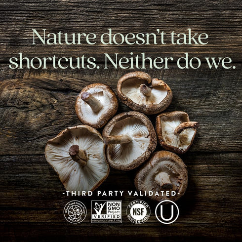 Immune 60 New Chapter Support Reishi & Shiitake Mushroom Blend with Organic Reishi Mushroom, Vegan + Non-GMO, Nootropic