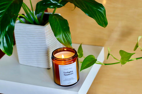 Larga Vitae Organic Coconut Wax Aromatherapy Candle | Eucalyptus & Peppermint | Non-Toxic, Pet Safe, Allergy Friendly |
