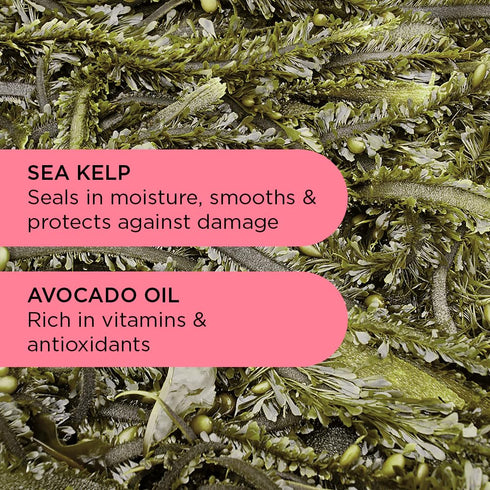 Noughty 97% Natural Wave Hello Curl Defining Conditioner, Sea Kelp Extract and Avocado Oil, 250ml Sulphate Free Vegan