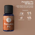Woolzies Autumn Bakery Fall Essential Oil Set of 3, Includes Pumpkin Pie, Cinnabake & Orange Twist, 10ML