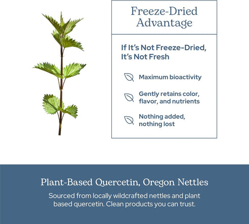 Eclectic Herb Nettle Quercetin Capsules, Non-GMO, Vegan, 90 CT