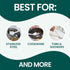 Scotch-Brite Pot + Pan Brush, Durable and Long Lasting Dish Brush with Handle for Scrubbing Stainless Steel, Outdoor