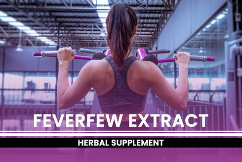 Pure Original Ingredients Feverfew Extract - 365 Capsules, No Magnesium or Rice Fillers, Always Pure