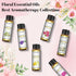 Floral Essential Oils Set of 6 Pure Essential Oil Gift Set for Diffusers, Soap & Candle Making - Lavender, Rose, Ylang Ylang, Jasmine, Geranium, Chamomile Aromatherapy Oils - 10ml