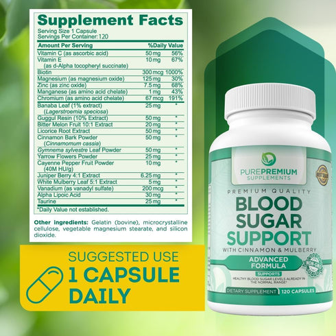 PurePremium Blood Sugar Support Supplement - Cinnamon Capsules with Bitter Melon, Mulberry, Zinc, Biotin, Vitamin C,