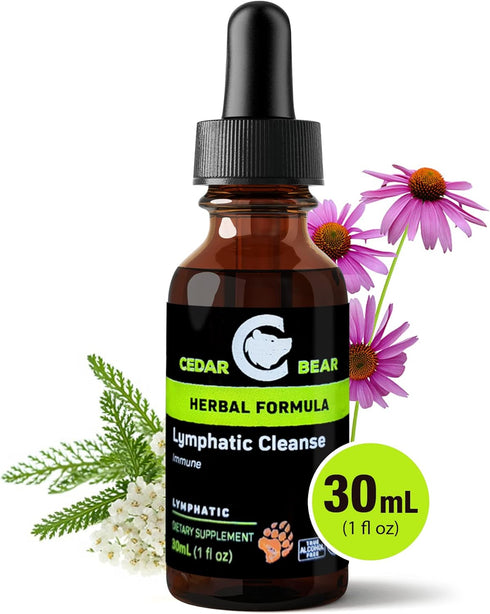 Cedar Bear - Lymphatic Cleanse Immune Support Supplement, Alcohol-Free Lymphatic Drainage Drops, 1 fl oz