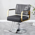 Salon Chair Cover - 20"x 15"x 4.5" Black Seat Covers, Protectors for Most Salon Chairs, Reinforced Precision Stitched