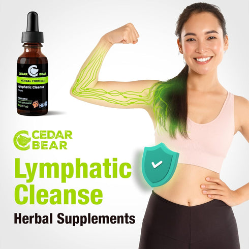 Cedar Bear - Lymphatic Cleanse Immune Support Supplement, Alcohol-Free Lymphatic Drainage Drops, 1 fl oz