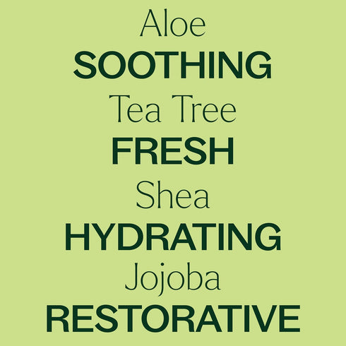 Plant Therapy 8 oz Tea Tree Body Lotion with Aloe and Shea to Hydrate and Nourish Skin with Botanical Ingredients