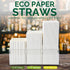 10 Inch Long White Paper Drinking Straws, 0.24" Diameter, 100 Counts