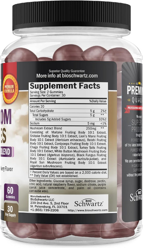 Mushroom Gummies for Adults - 10-in-1 Functional Supplement for Mood and Focus, Vegan Raspberry Flavor, 60 Count